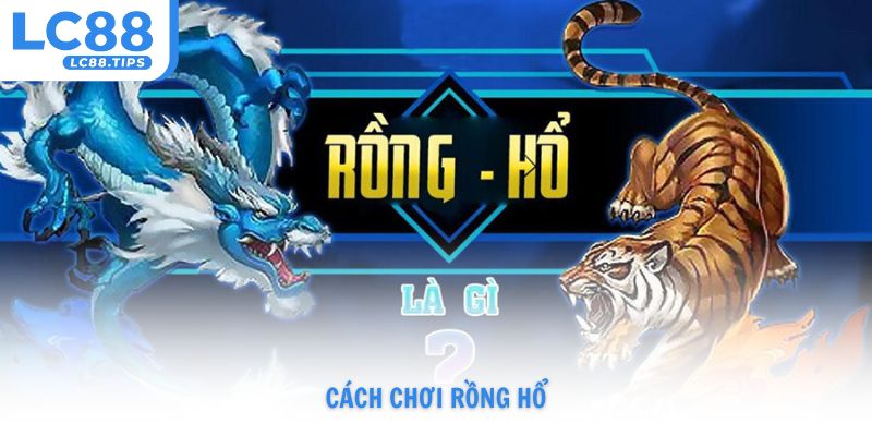 cách chơi Rồng Hổ