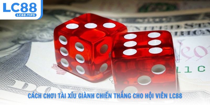 Cách chơi Tài Xỉu giành chiến thắng cho hội viên Lc88