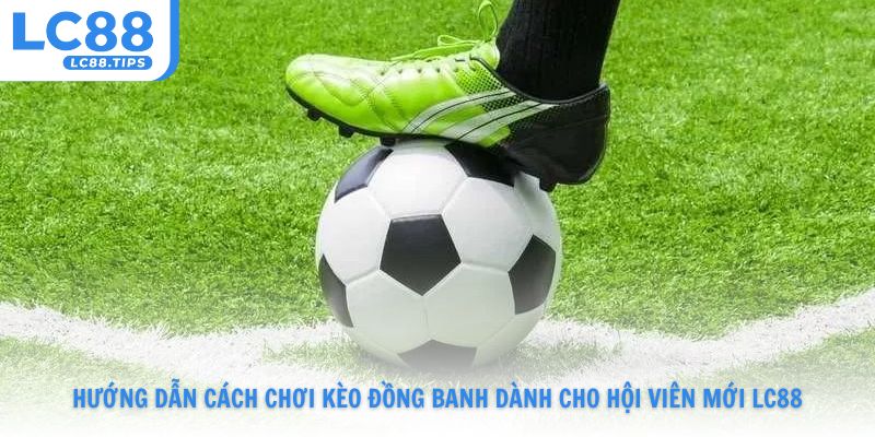 Hướng dẫn cách chơi kèo đồng banh dành cho hội viên mới Lc88