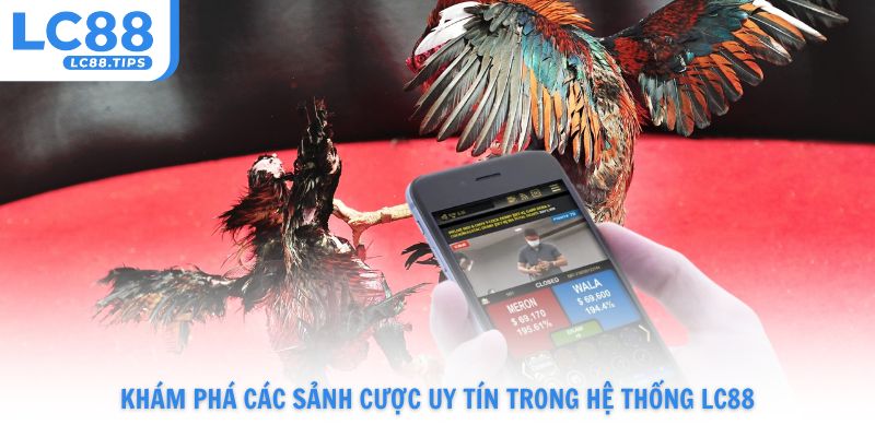 Khám phá các sảnh cược uy tín trong hệ thống LC88