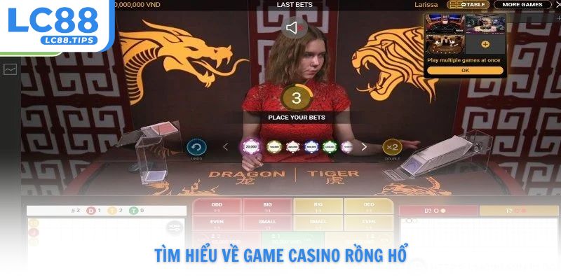 Tìm hiểu về game casino Rồng Hổ